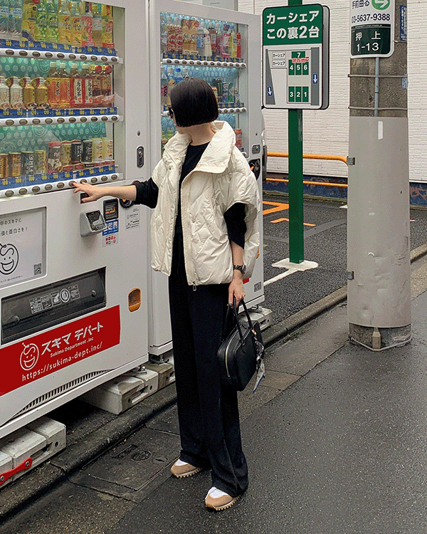 エイブバディングベスト
