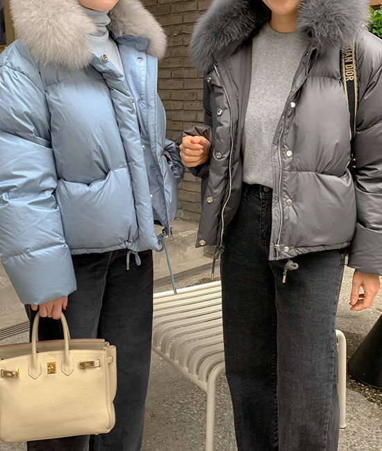 フォックスパーグースバディング